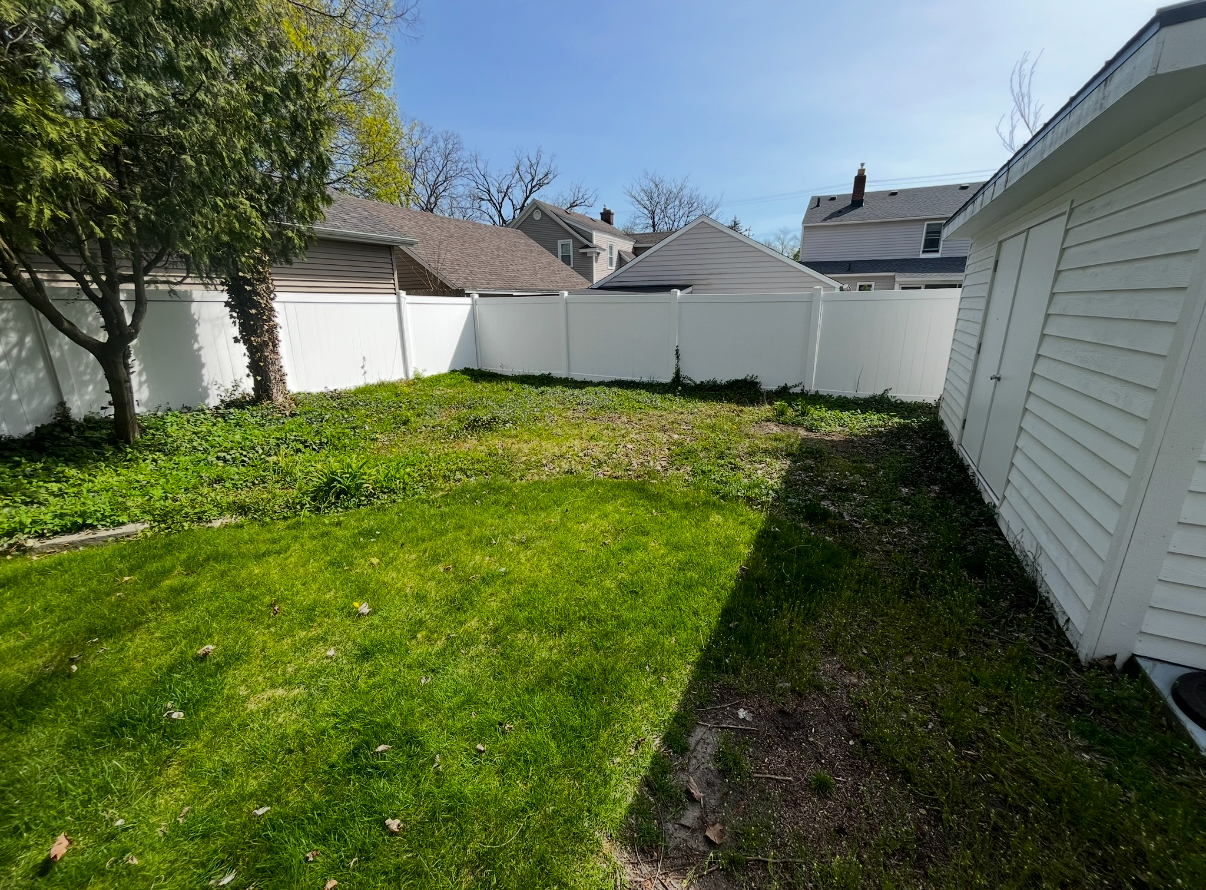 Before image alt
